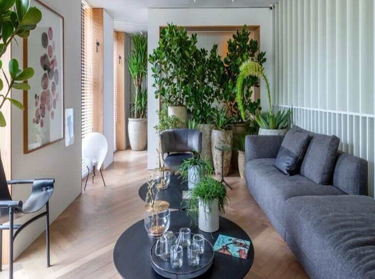 ¿Por qué elegir pisos de madera?